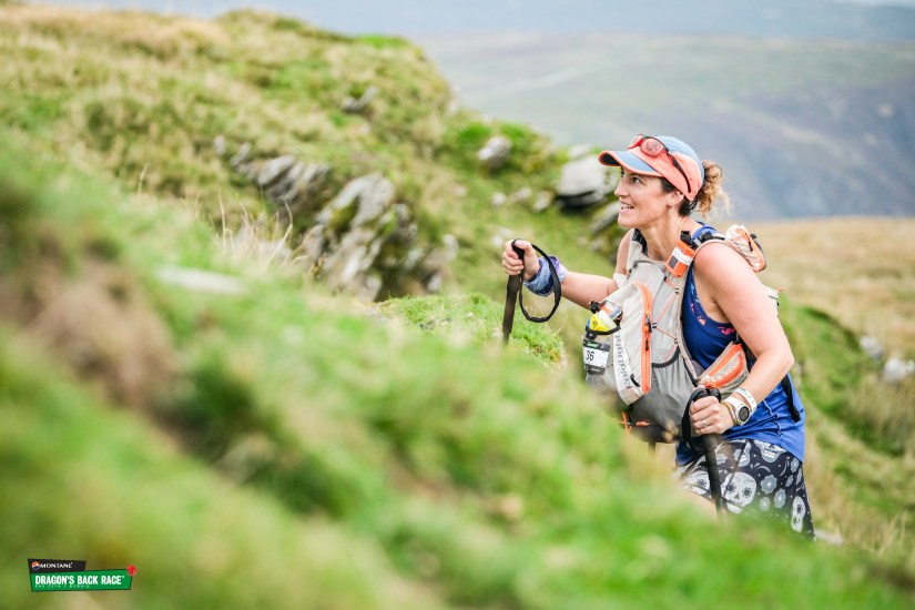 A Hatchling is&nbsp;born